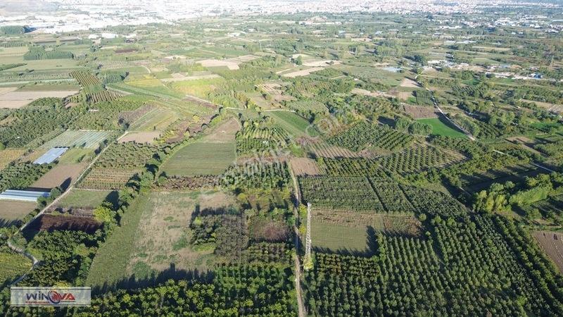Winova | Edebey Mahallesinde Satılık Tarla — fotoğraf 18