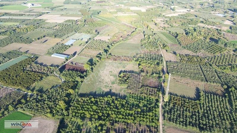 Winova | Edebey Mahallesinde Satılık Tarla — fotoğraf 19