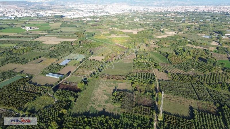 Winova | Edebey Mahallesinde Satılık Tarla — fotoğraf 20