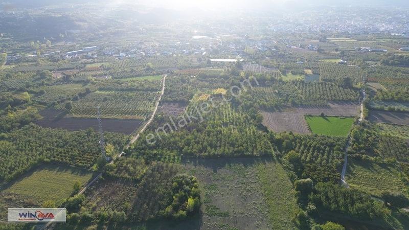 Winova | Edebey Mahallesinde Satılık Tarla — fotoğraf 21