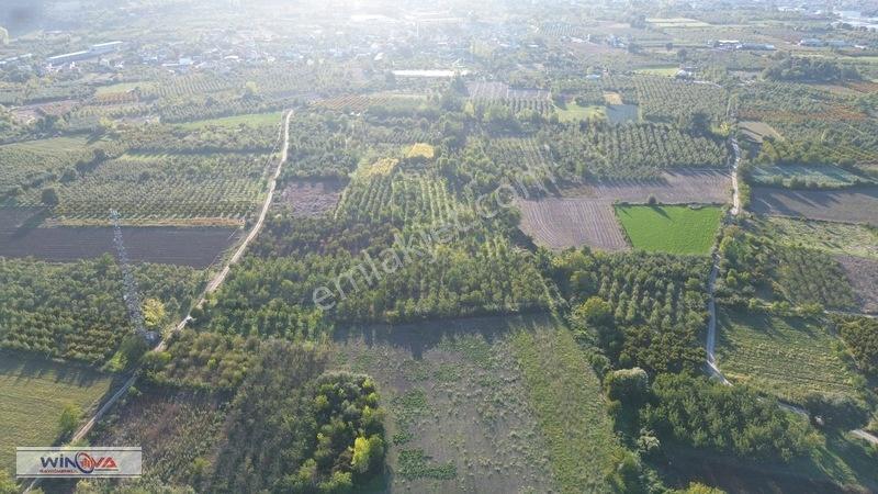 Winova | Edebey Mahallesinde Satılık Tarla — fotoğraf 22