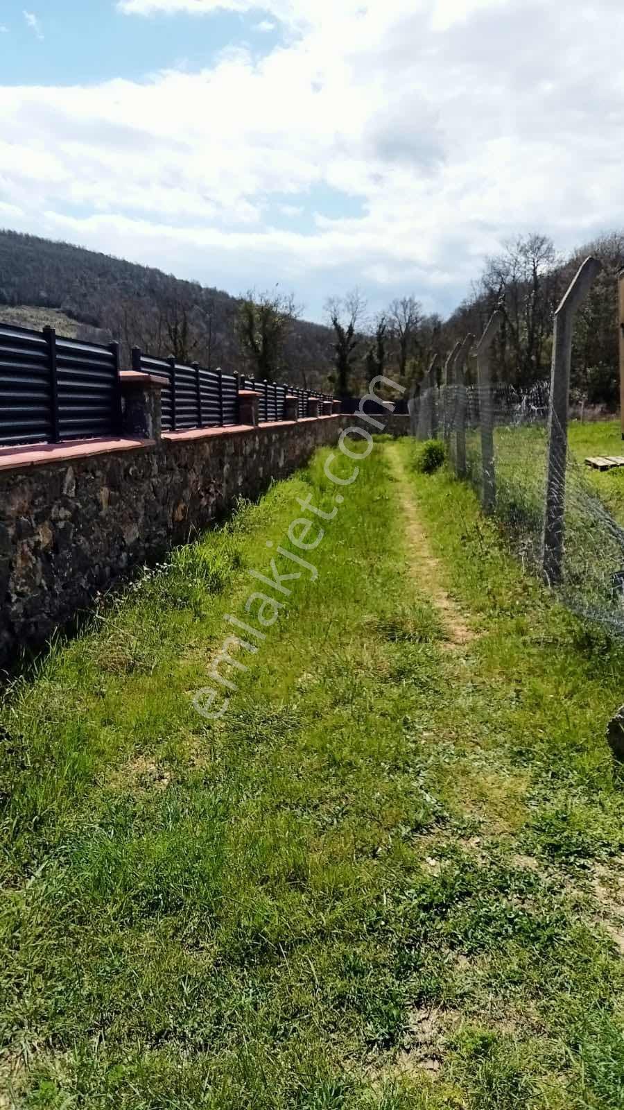 Gebze Duraklı Köyünde Satılık 346 M2 Bağ Bahçe