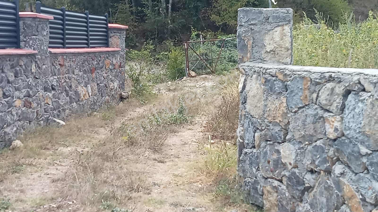 Gebze Duraklı Köyünde Satılık 346 M2 Bağ Bahçe — fotoğraf 24