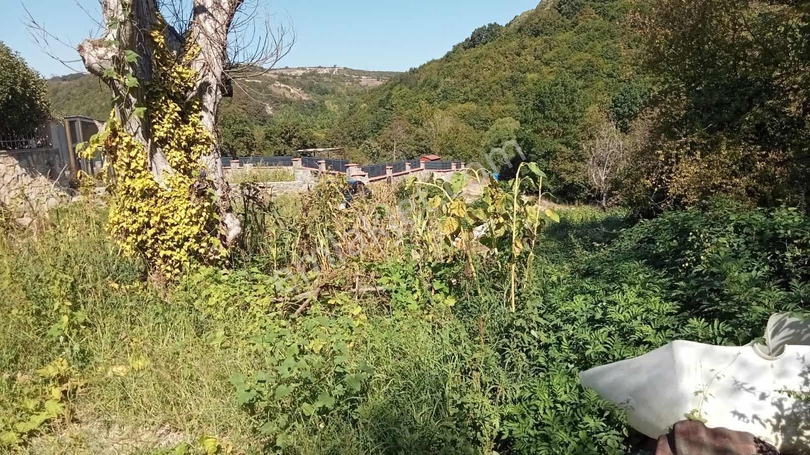 Gebze Duraklı Köyünde Satılık 346 M2 Bağ Bahçe — fotoğraf 35