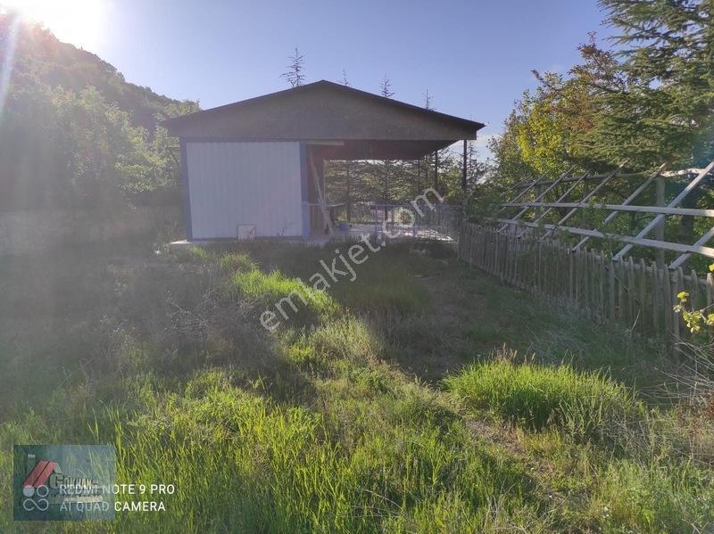 Gökhan Emlak'tan Kıbrıs Köyü'nde Evi İçinde Satılık Arsa — fotoğraf 2