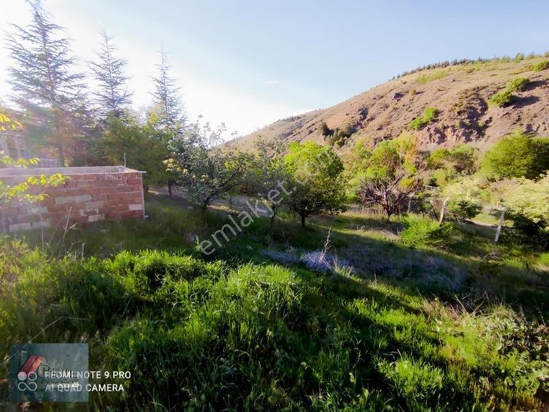 Gökhan Emlak'tan Kıbrıs Köyü'nde Evi İçinde Satılık Arsa — fotoğraf 10