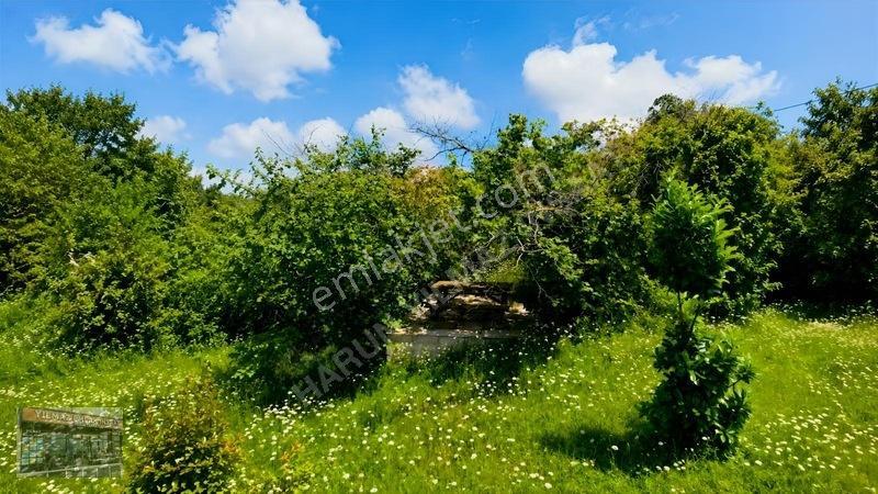 Harun Yılmaz İnşaattan Darıçayırında 2776 M2 Arsa İçinde Villa — fotoğraf 27