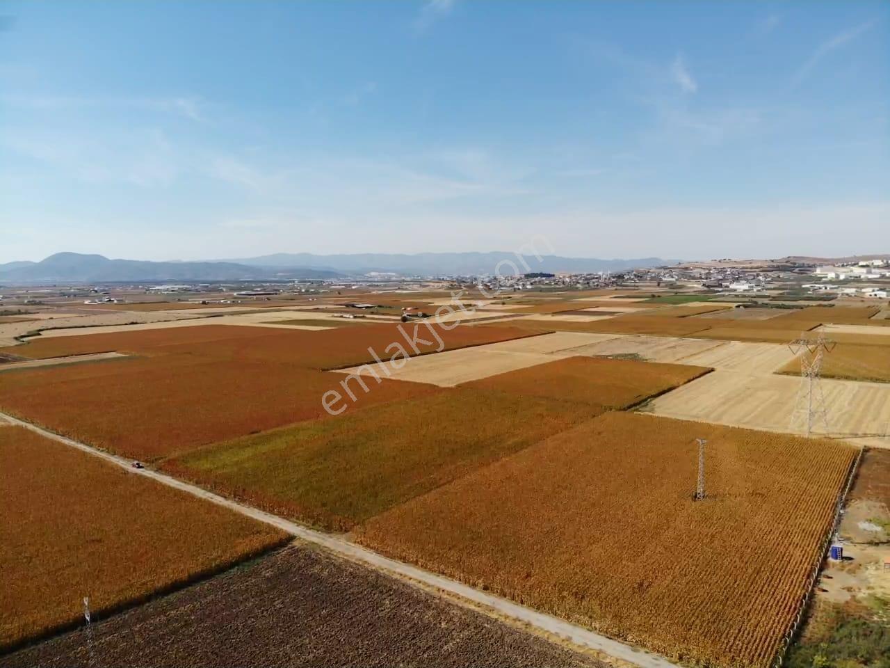 Tekeli'de Kadastral Yol Cepheli - 5050 M2 Satılık Müstakil Tarla — fotoğraf 6