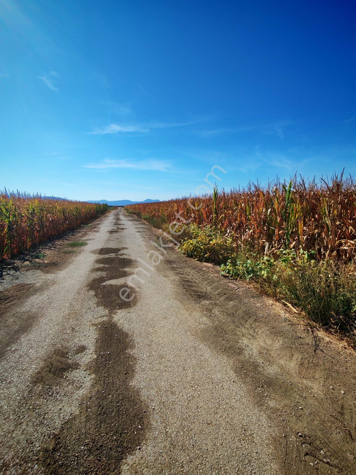 Tekeli'de Kadastral Yol Cepheli - 5050 M2 Satılık Müstakil Tarla — fotoğraf 8