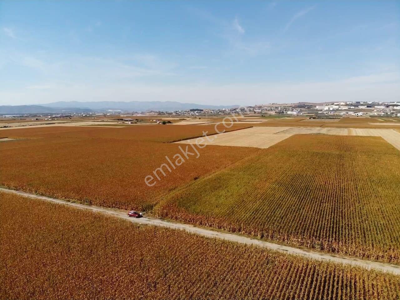 Tekeli'de Kadastral Yol Cepheli - 5050 M2 Satılık Müstakil Tarla — fotoğraf 10