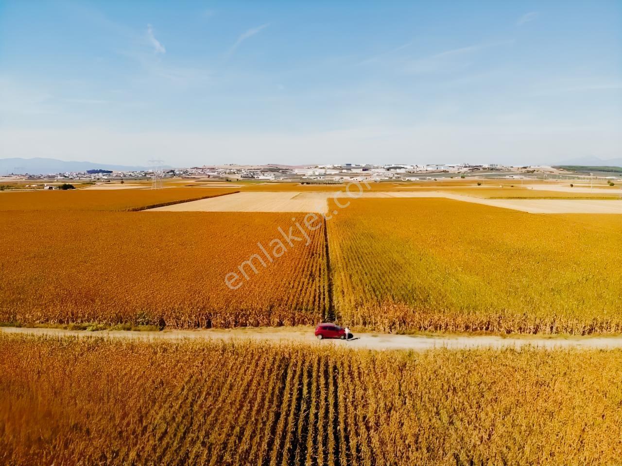 Tekeli'de Kadastral Yol Cepheli - 5050 M2 Satılık Müstakil Tarla — fotoğraf 11