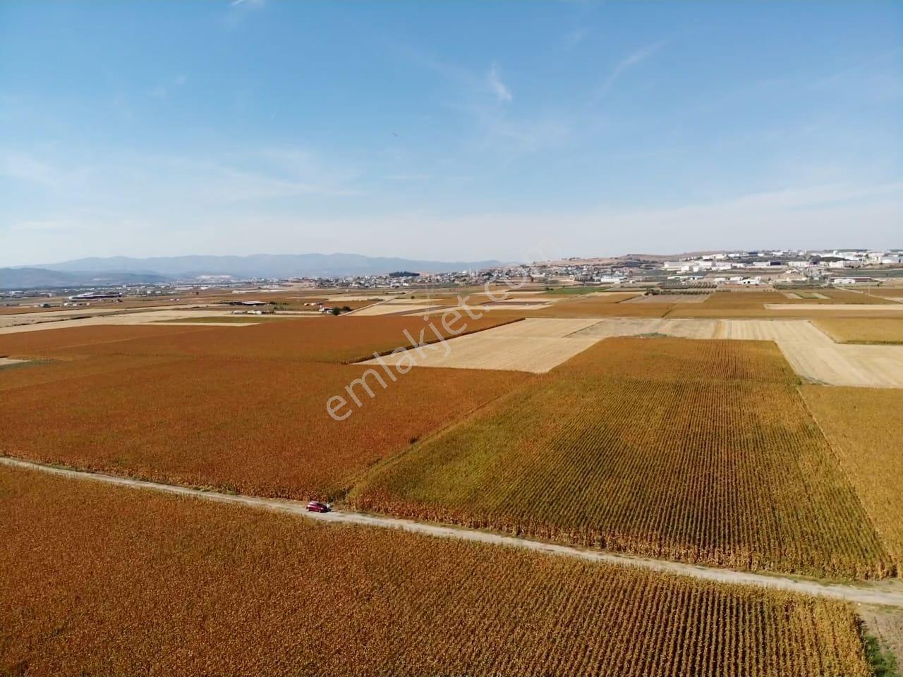 Tekeli'de Kadastral Yol Cepheli - 5050 M2 Satılık Müstakil Tarla — fotoğraf 12