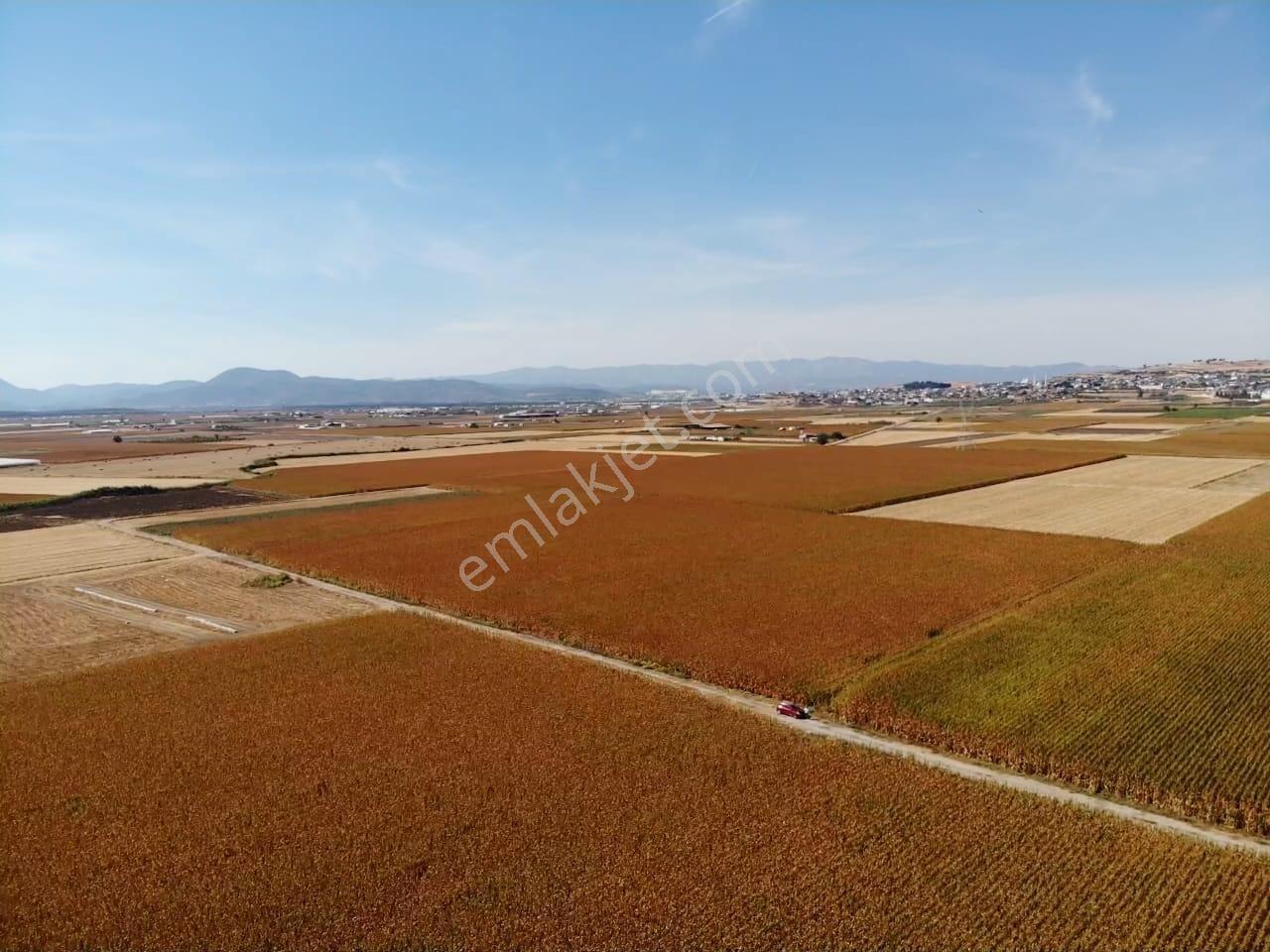 Tekeli'de Kadastral Yol Cepheli - 5050 M2 Satılık Müstakil Tarla — fotoğraf 13