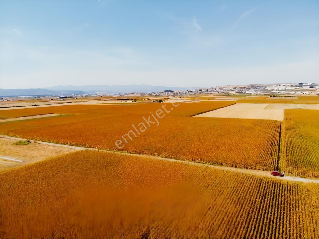 Tekeli'de Kadastral Yol Cepheli - 5050 M2 Satılık Müstakil Tarla — fotoğraf 14