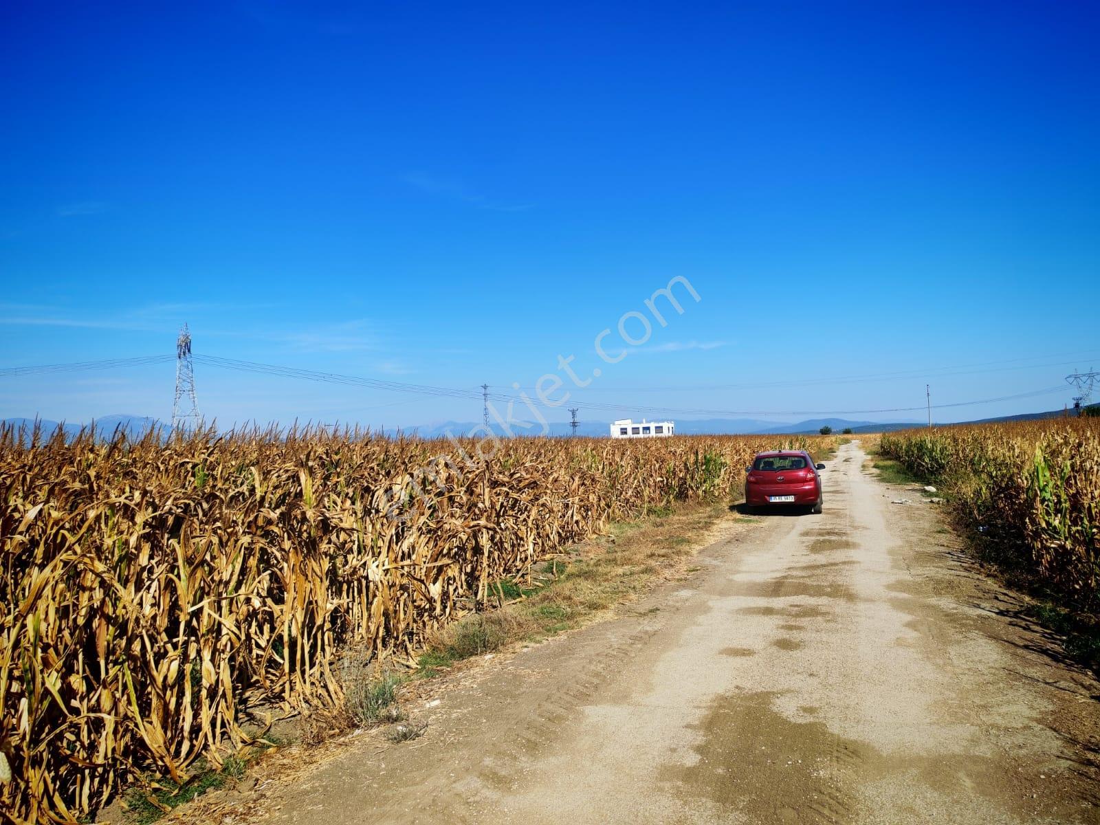 Tekeli'de Kadastral Yol Cepheli - 5050 M2 Satılık Müstakil Tarla — fotoğraf 16