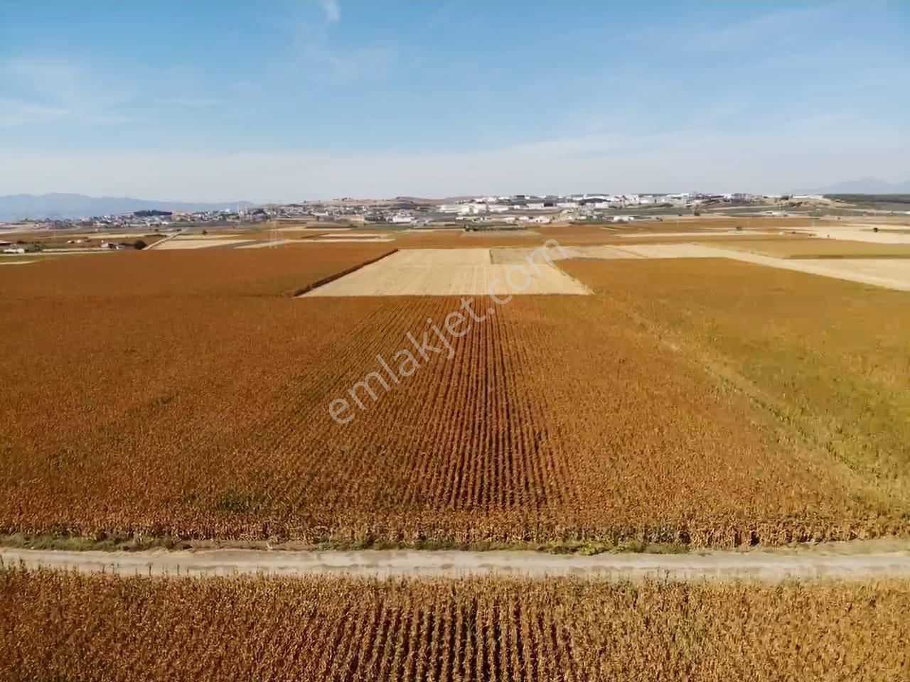 Tekeli'de Kadastral Yol Cepheli - 5050 M2 Satılık Müstakil Tarla — fotoğraf 18