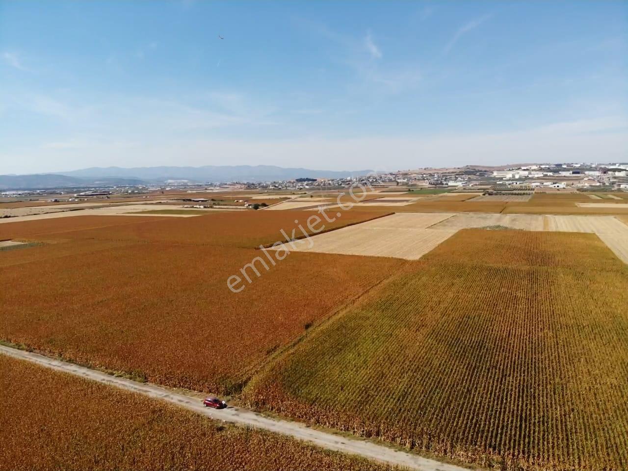 Tekeli'de Kadastral Yol Cepheli - 5050 M2 Satılık Müstakil Tarla — fotoğraf 19