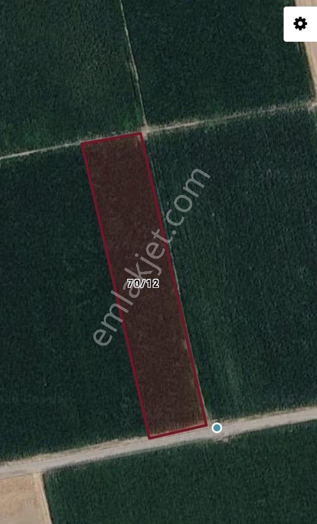 Tekeli'de Kadastral Yol Cepheli - 5050 M2 Satılık Müstakil Tarla — fotoğraf 20