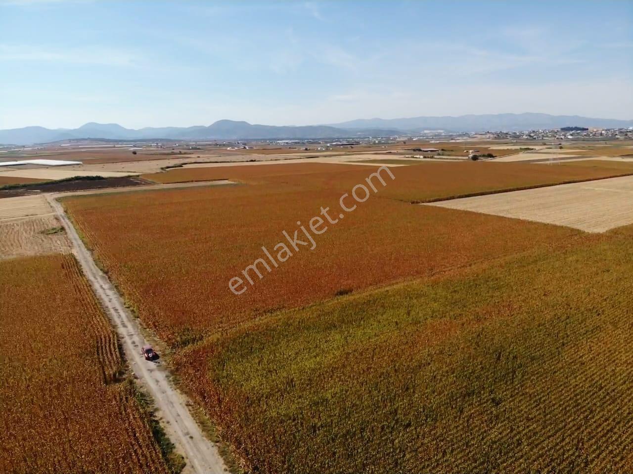 Tekeli'de Kadastral Yol Cepheli - 5050 M2 Satılık Müstakil Tarla — fotoğraf 23