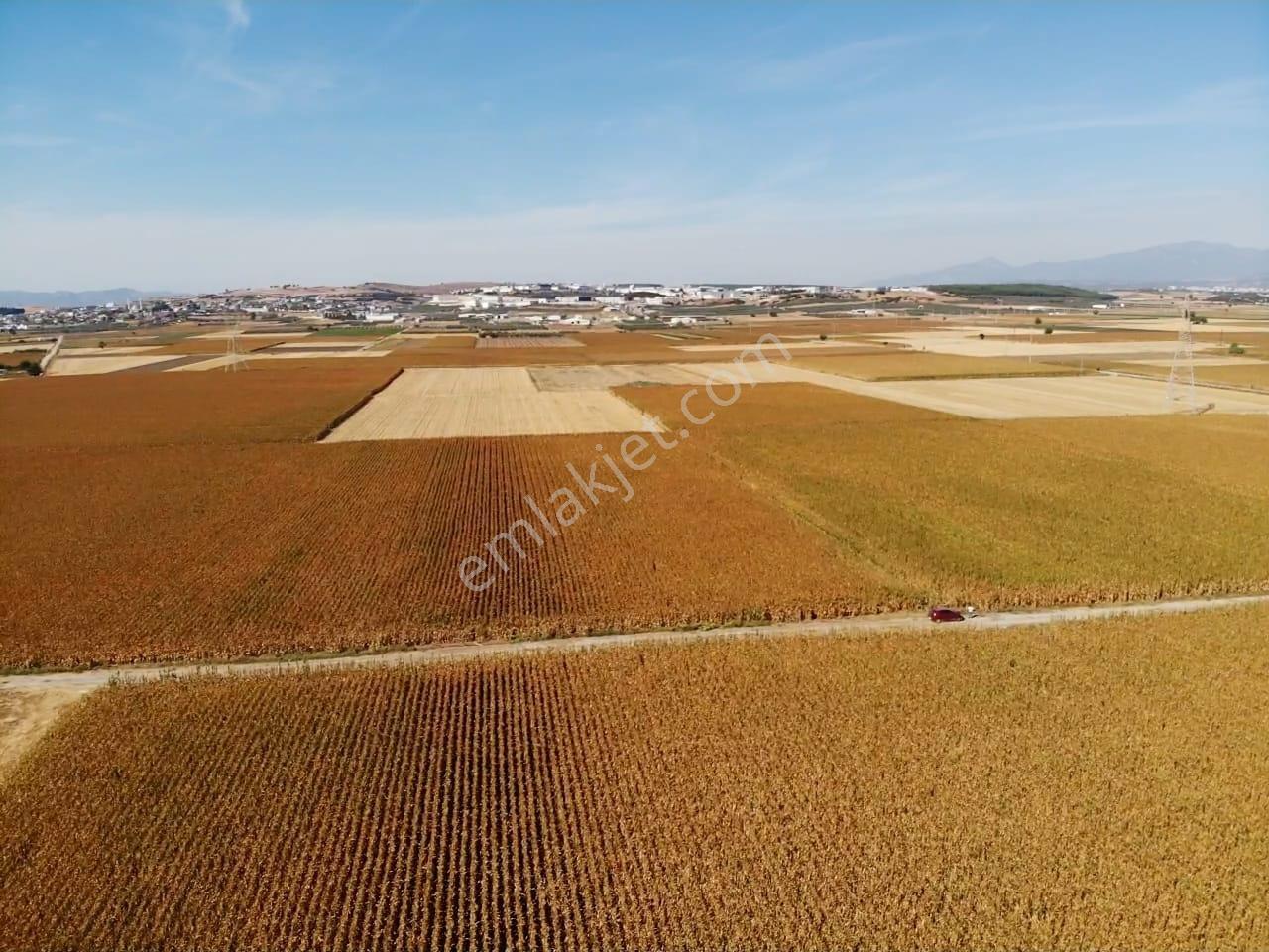 Tekeli'de Kadastral Yol Cepheli - 5050 M2 Satılık Müstakil Tarla — fotoğraf 24