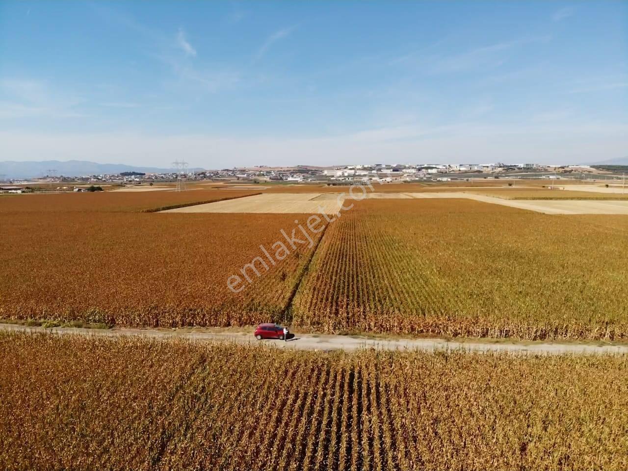 Tekeli'de Kadastral Yol Cepheli - 5050 M2 Satılık Müstakil Tarla — fotoğraf 25