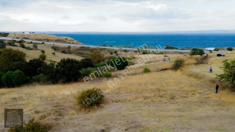 Hobi Bahçesi Ve Verimli Yatırım İçin İdeal: Lapseki'de 2.5 Dönüm — fotoğraf 6