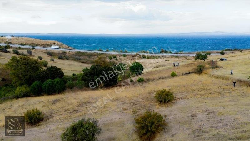 Hobi Bahçesi Ve Verimli Yatırım İçin İdeal: Lapseki'de 2.5 Dönüm — fotoğraf 8