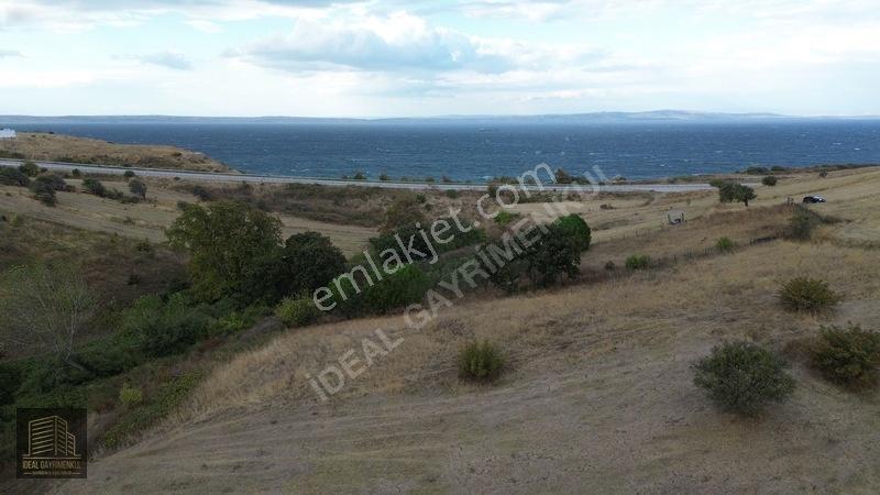 Hobi Bahçesi Ve Verimli Yatırım İçin İdeal: Lapseki'de 2.5 Dönüm — fotoğraf 10