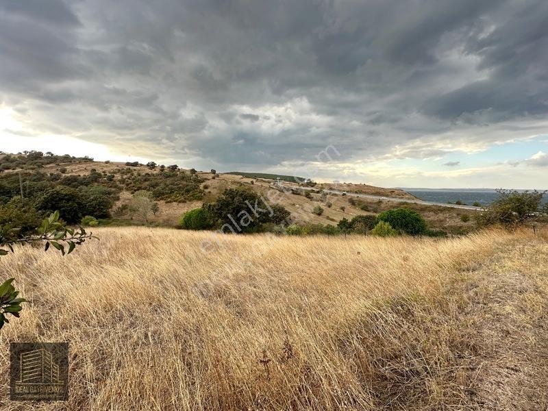 Hobi Bahçesi Ve Verimli Yatırım İçin İdeal: Lapseki'de 2.5 Dönüm — fotoğraf 17