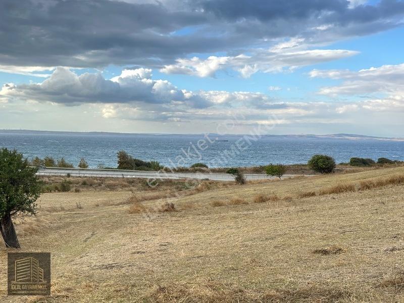 Hobi Bahçesi Ve Verimli Yatırım İçin İdeal: Lapseki'de 2.5 Dönüm — fotoğraf 25
