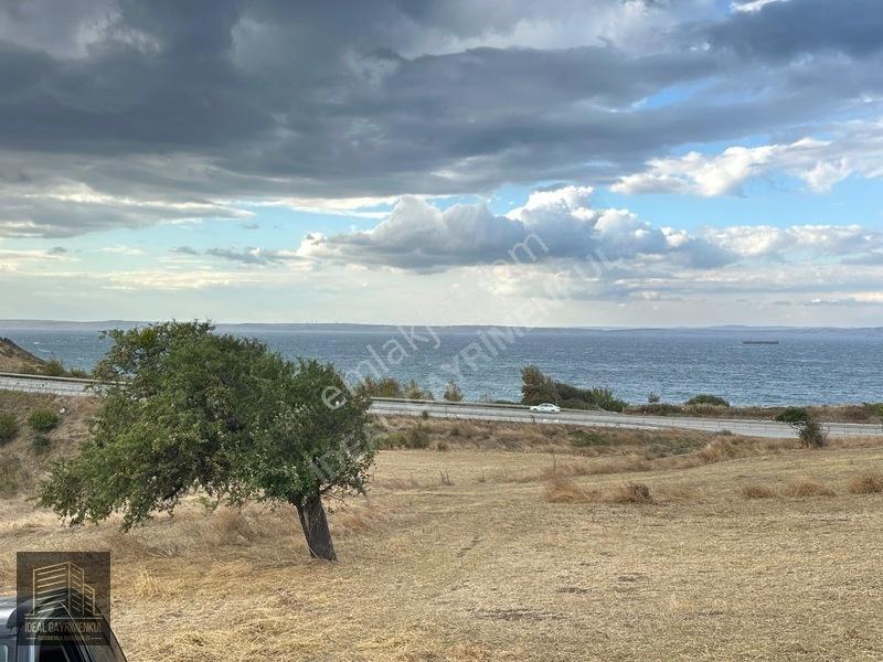 Hobi Bahçesi Ve Verimli Yatırım İçin İdeal: Lapseki'de 2.5 Dönüm — fotoğraf 26
