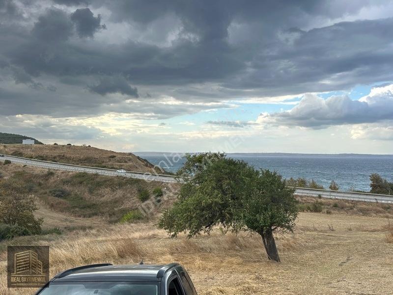 Hobi Bahçesi Ve Verimli Yatırım İçin İdeal: Lapseki'de 2.5 Dönüm — fotoğraf 27