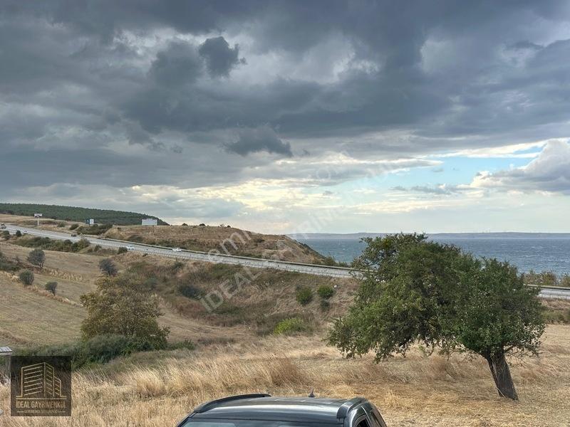 Hobi Bahçesi Ve Verimli Yatırım İçin İdeal: Lapseki'de 2.5 Dönüm — fotoğraf 28