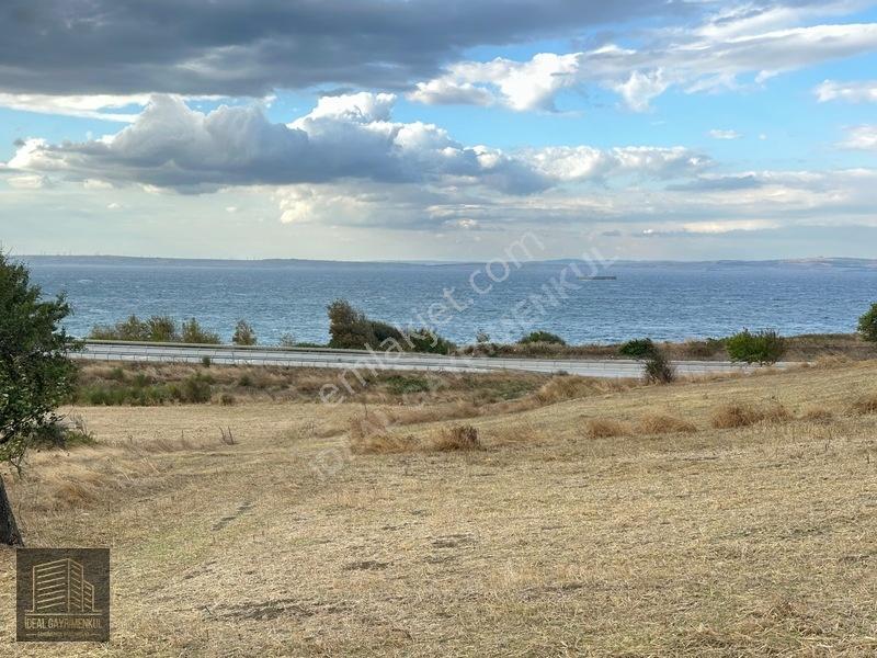 Hobi Bahçesi Ve Verimli Yatırım İçin İdeal: Lapseki'de 2.5 Dönüm — fotoğraf 29