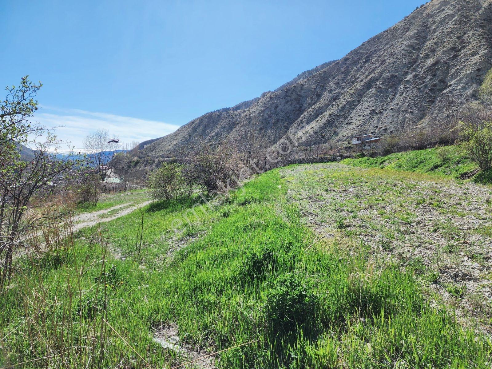 Lüx Erzurum'dan Tortum-oltu Yolunda Mükemmel Konumda Tarla — fotoğraf 13