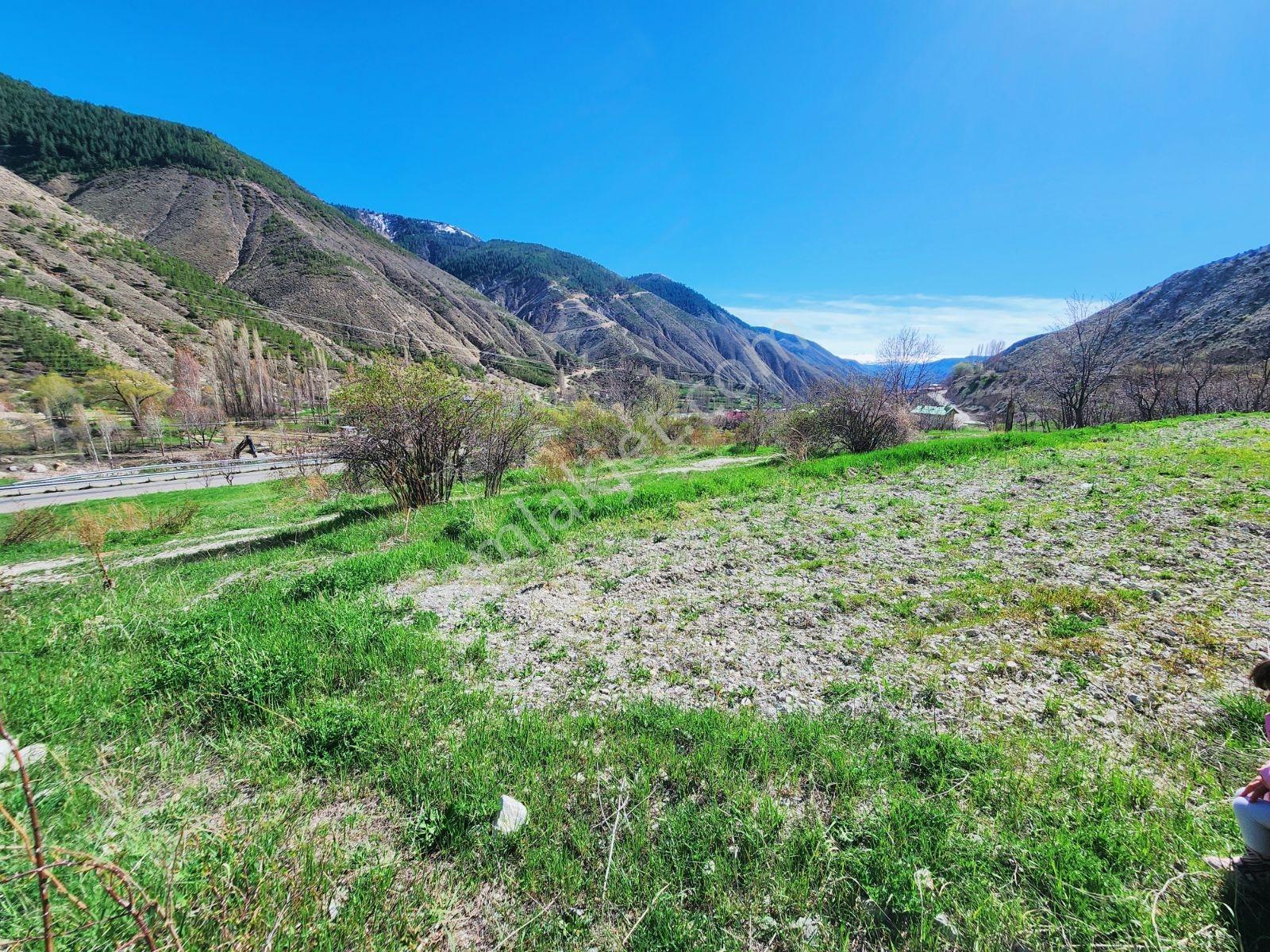 Lüx Erzurum'dan Tortum-oltu Yolunda Mükemmel Konumda Tarla — fotoğraf 17