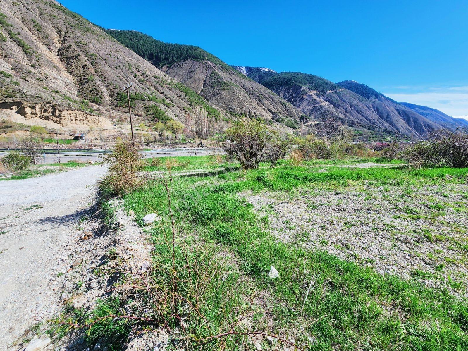 Lüx Erzurum'dan Tortum-oltu Yolunda Mükemmel Konumda Tarla — fotoğraf 18
