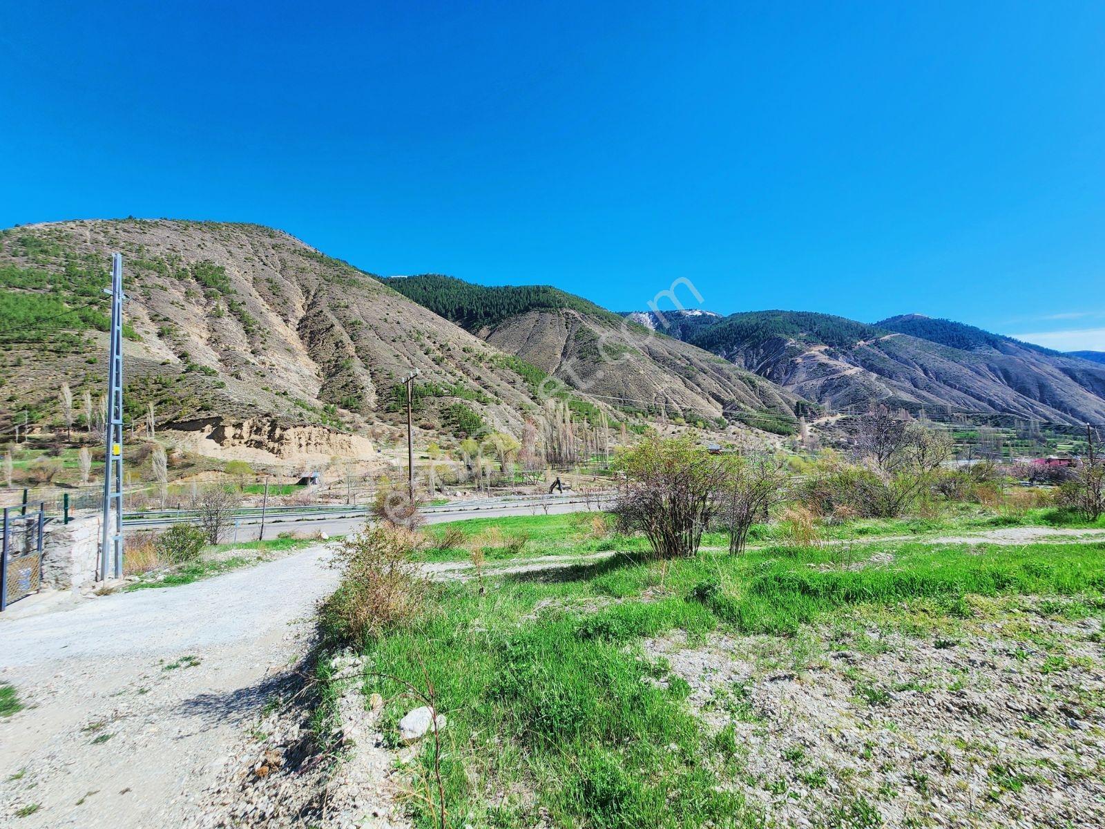 Lüx Erzurum'dan Tortum-oltu Yolunda Mükemmel Konumda Tarla — fotoğraf 19