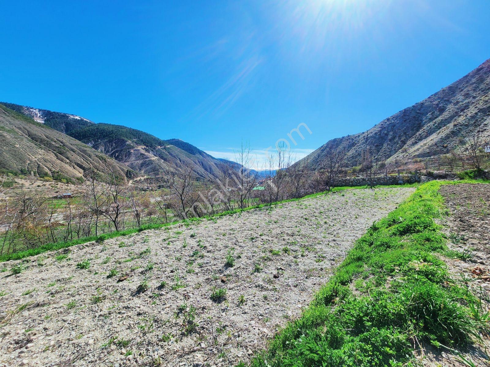 Lüx Erzurum'dan Tortum-oltu Yolunda Mükemmel Konumda Tarla — fotoğraf 20