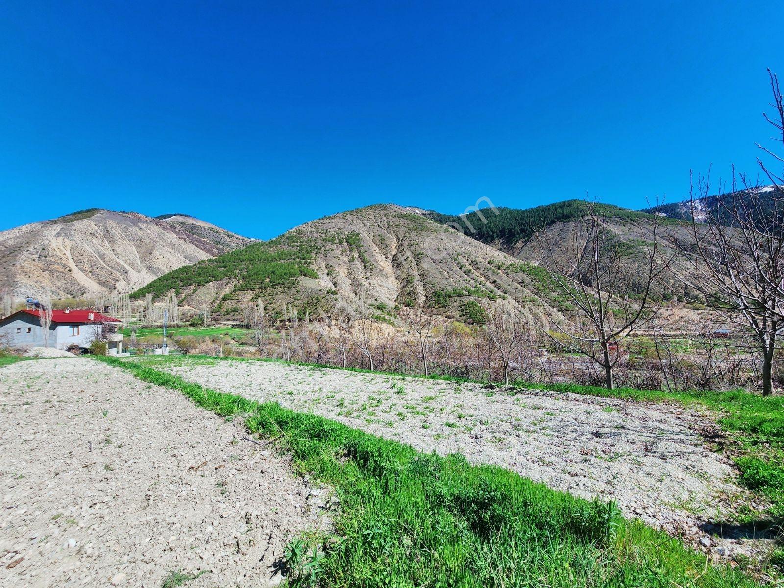Lüx Erzurum'dan Tortum-oltu Yolunda Mükemmel Konumda Tarla — fotoğraf 22