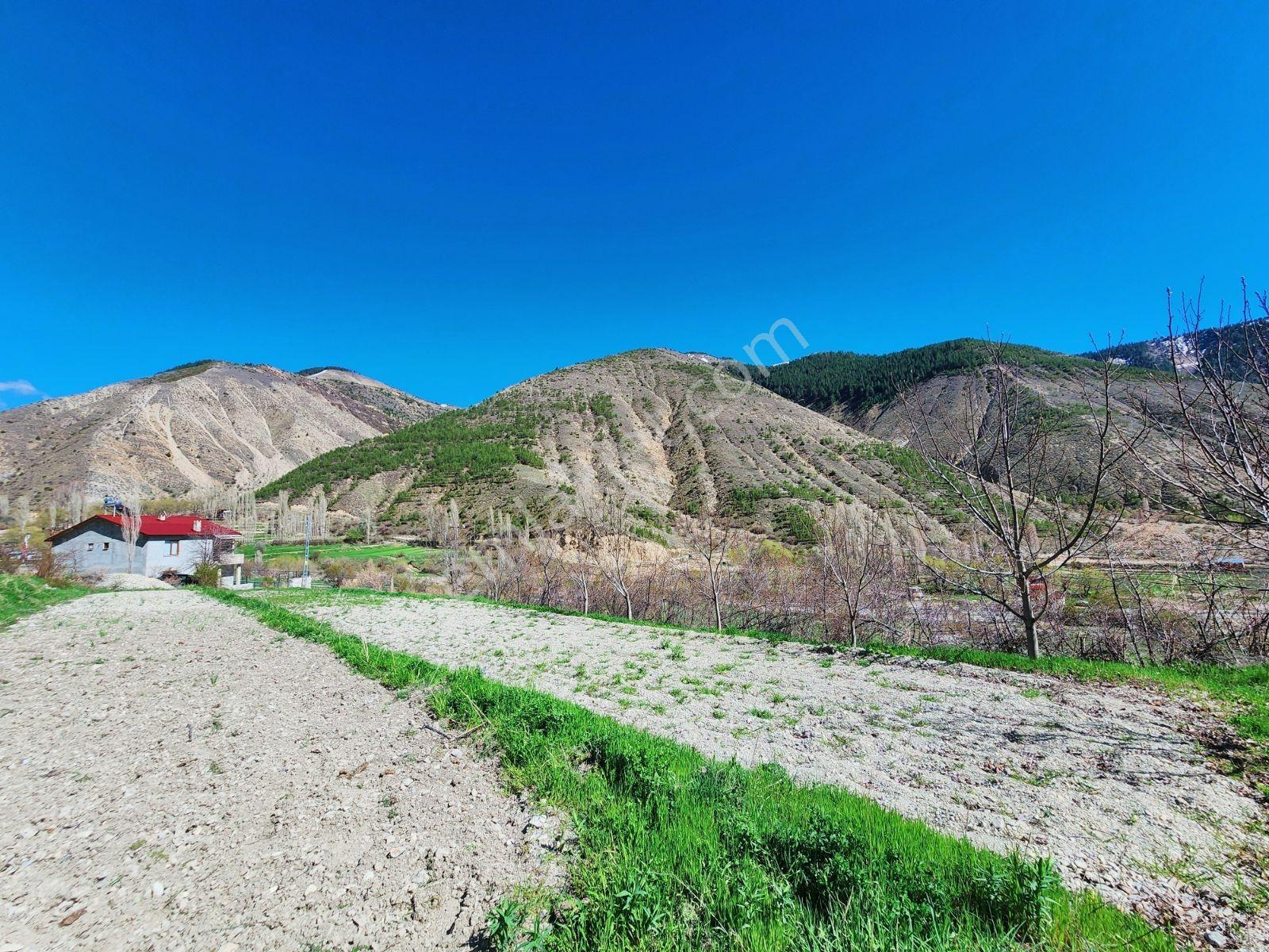 Lüx Erzurum'dan Tortum-oltu Yolunda Mükemmel Konumda Tarla — fotoğraf 23
