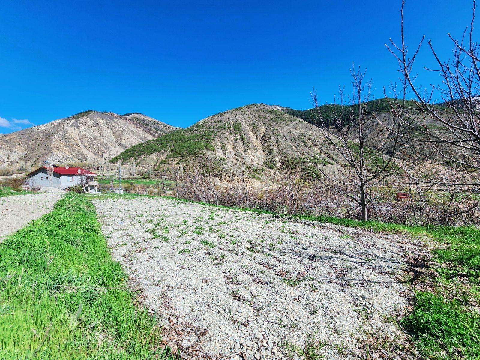Lüx Erzurum'dan Tortum-oltu Yolunda Mükemmel Konumda Tarla — fotoğraf 24