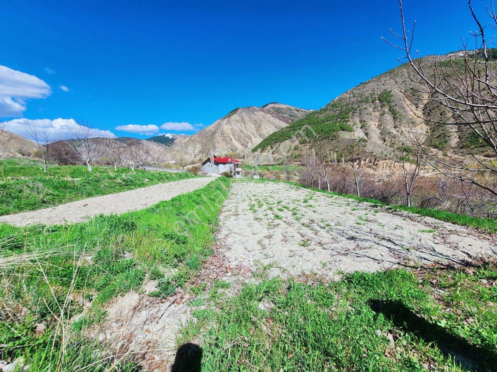 Lüx Erzurum'dan Tortum-oltu Yolunda Mükemmel Konumda Tarla — fotoğraf 25