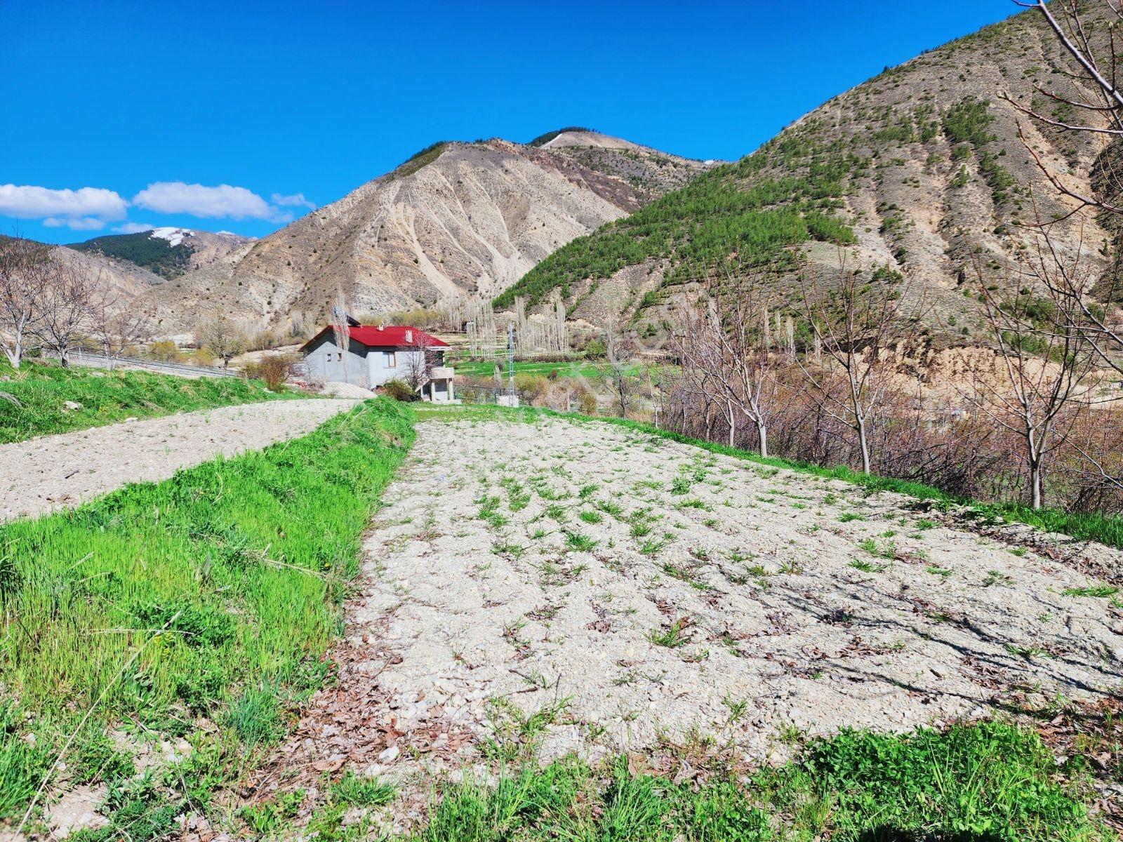 Lüx Erzurum'dan Tortum-oltu Yolunda Mükemmel Konumda Tarla — fotoğraf 26