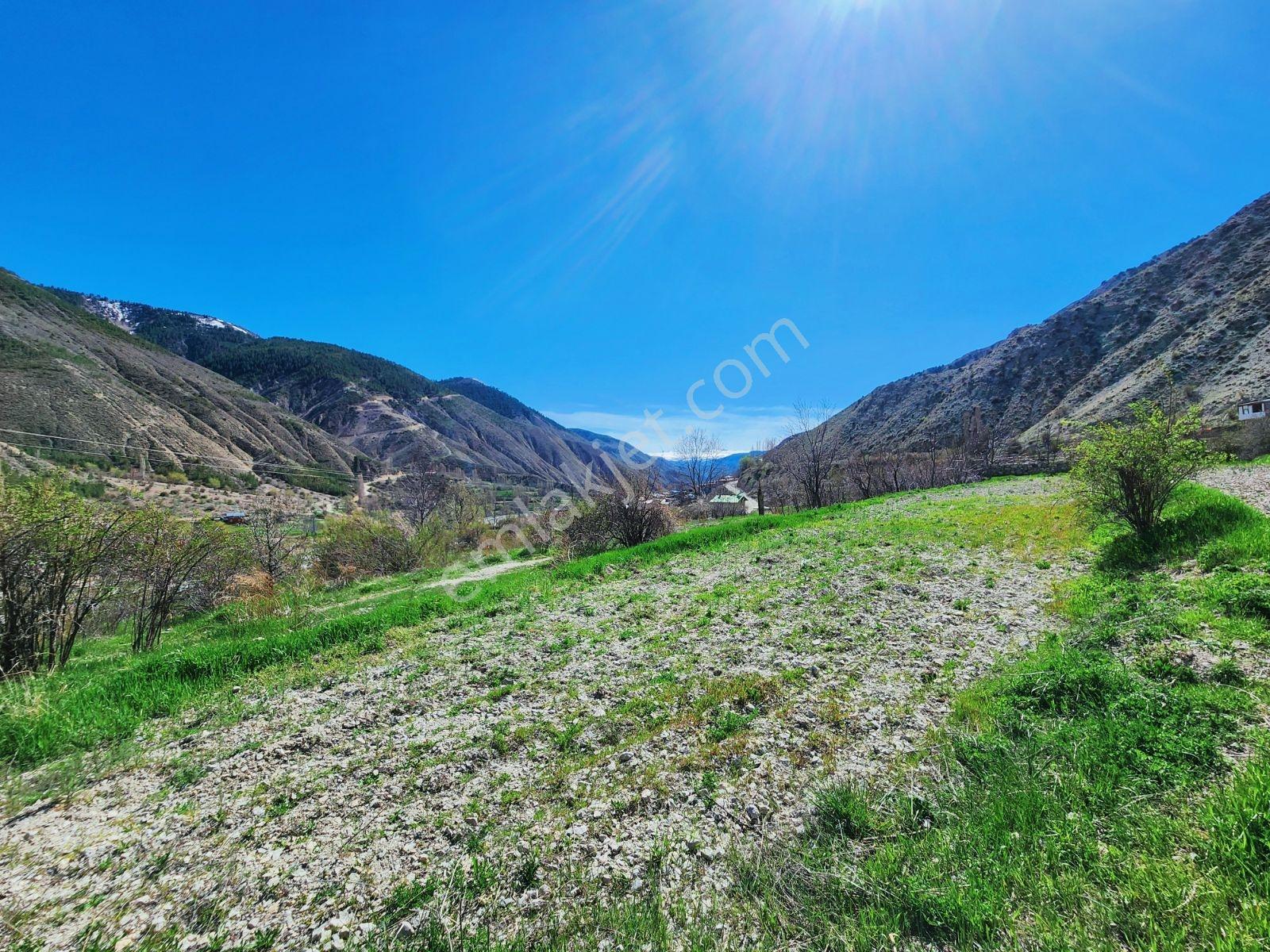 Lüx Erzurum'dan Tortum-oltu Yolunda Mükemmel Konumda Tarla — fotoğraf 27