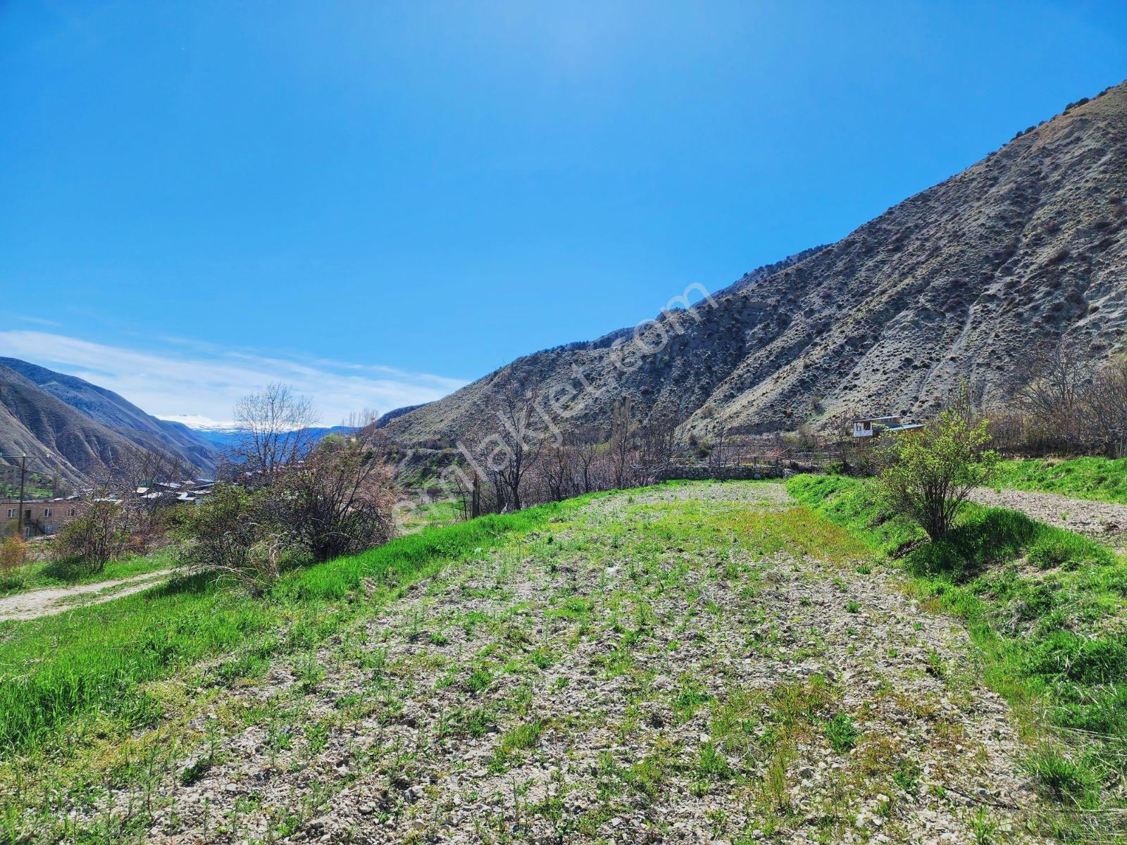 Lüx Erzurum'dan Tortum-oltu Yolunda Mükemmel Konumda Tarla — fotoğraf 28