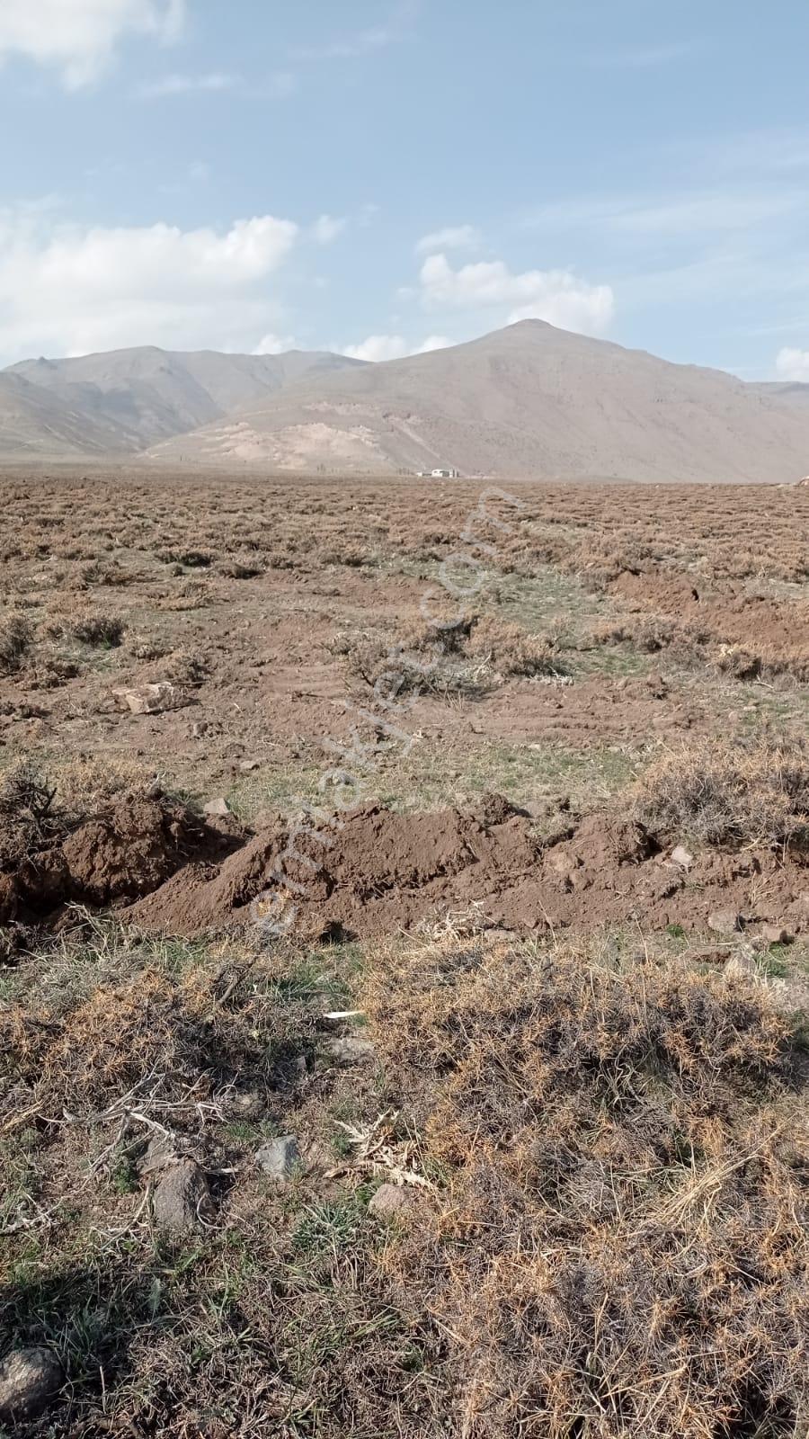Lüx Erzurum'dan Yakutiye'de Satılık 10 Dönüm Eğimsiz Tarla — fotoğraf 6