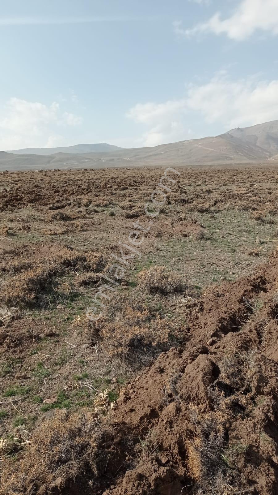 Lüx Erzurum'dan Yakutiye'de Satılık 10 Dönüm Eğimsiz Tarla — fotoğraf 7