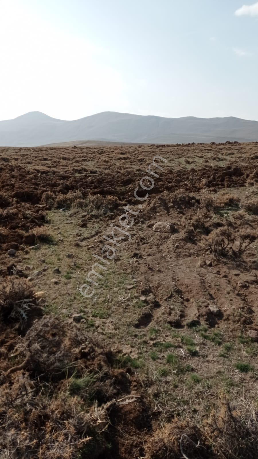 Lüx Erzurum'dan Yakutiye'de Satılık 10 Dönüm Eğimsiz Tarla — fotoğraf 8