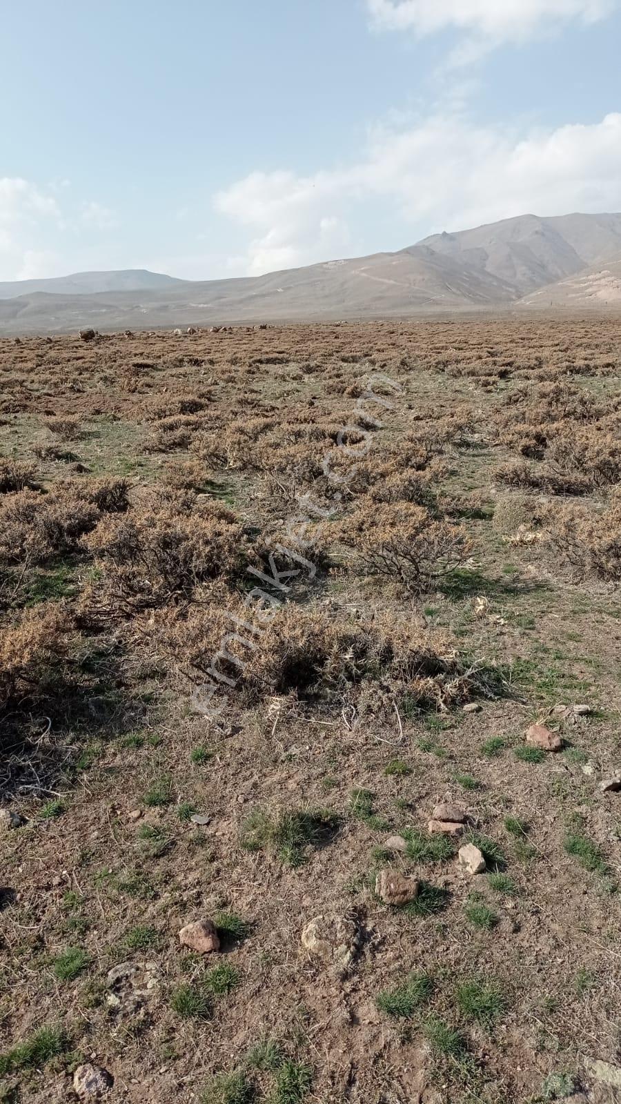 Lüx Erzurum'dan Yakutiye'de Satılık 10 Dönüm Eğimsiz Tarla — fotoğraf 11